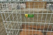 Dog cage