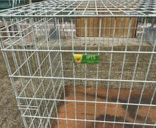 Dog cage