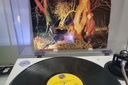 Echo and the Bunnymen Crocodiles