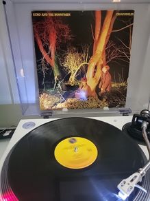 Echo and the Bunnymen Crocodiles