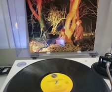 Echo and the Bunnymen Crocodiles
