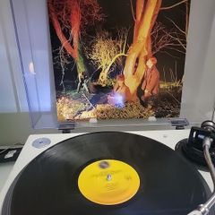Echo and the Bunnymen Crocodiles