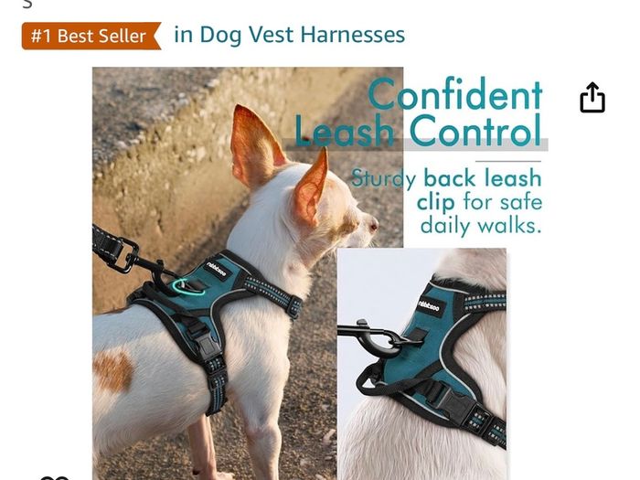 Dog harness by Rabbit Goo
