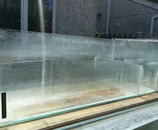 fish tanks