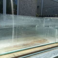 fish tanks