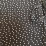 Ladies Brown Polka Dot Petite Dress by John Richard Image 5