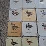 37 X Mid Century Avian Metal Display Plaques Image 3