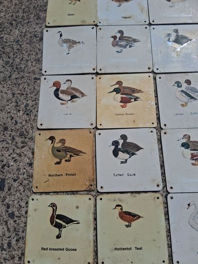 37 X Mid Century Avian Metal Display Plaques