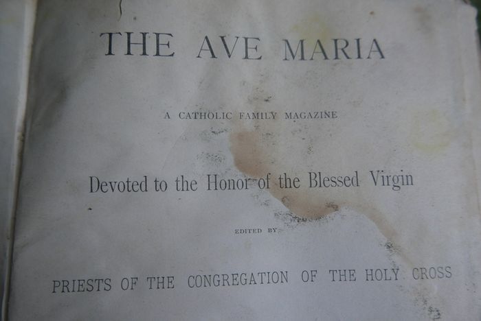 The Ave Maria A Magazine Devoted to the Honor of the Blessed Virgin 1894 and the Bible
