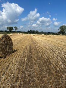 Straw m6 Kilbeggan