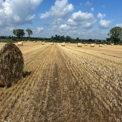 Straw m6 Kilbeggan