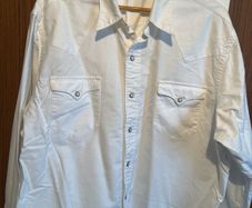 Mens Ralph Lauren Shirt