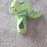puma Image 4
