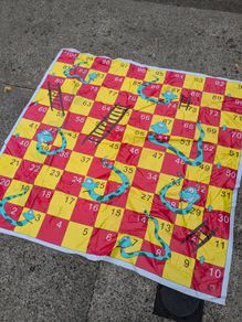Giant Snakes & Ladders & Twisters Garden Game