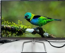 Two HP 24-inch Monitors