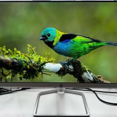 Two HP 24-inch Monitors