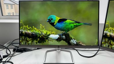Two HP 24-inch Monitors