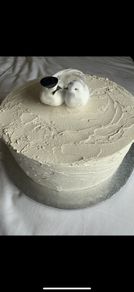 Decorated Fake Cake