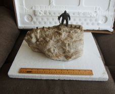 Bronze and Quartz