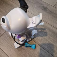 robot dog