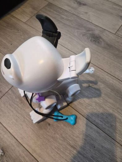 robot dog