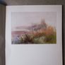 Ernest Hayes R H A  - The Wild Garden Image 3