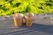 2 brass cups postage possible