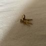 9ct gold ring Image 3