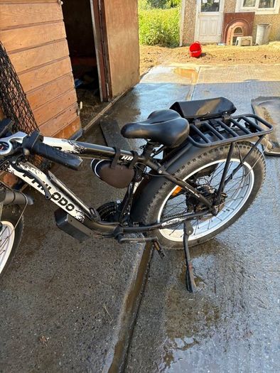 Electric cargo bike