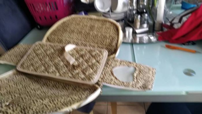 Dog/Cat travel bag