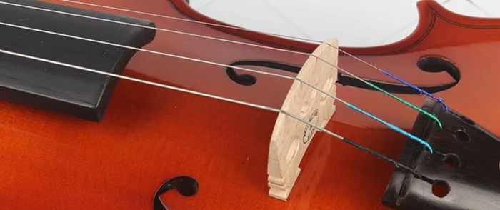 Violin strings