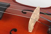Violin strings