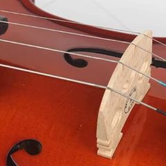 Violin strings