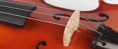 Violin strings
