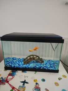 15Litre Fish tank