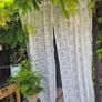 Vintage Style Lace Curtain Panels X 2 Image 7