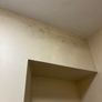 Mould Remover Image 3