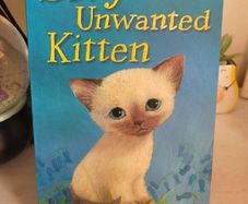 sky the unwanted kitten book