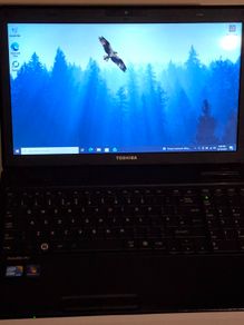 Toshiba Satellite Pro Laptop