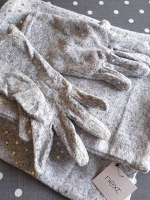 Next Scarf & Gloves