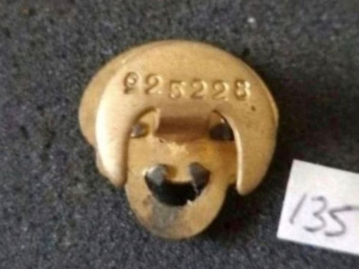 United Kingdom,  british legion  badge ,  (135)