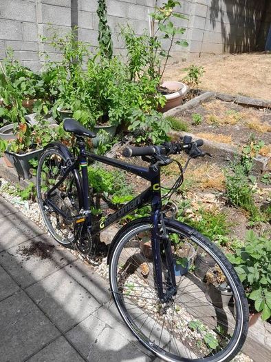 Boredman road bike