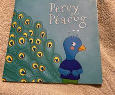 Irish language children's book