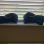 taekwondo gloves for sale. Image 3