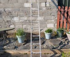 Ladder