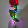 Rose Led Glow For Valentine's 50cm Red Image 9