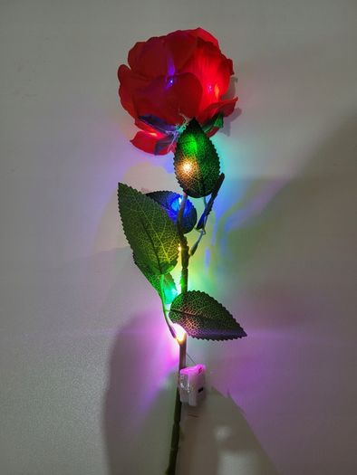 Rose Led Glow For Valentine's 50cm Red
