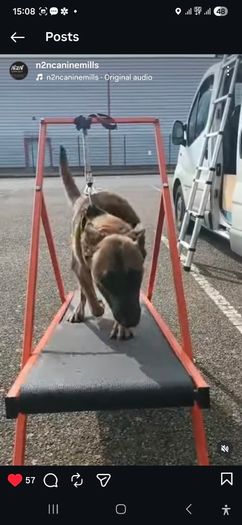 Dog Carpet Mill Self Propelled Treadmill Heavy Duty Professional