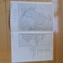 Cross Stitch-Cherished Teddies Nativity Chart Booklet Image 4