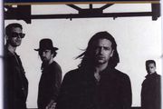 U2 / Bono